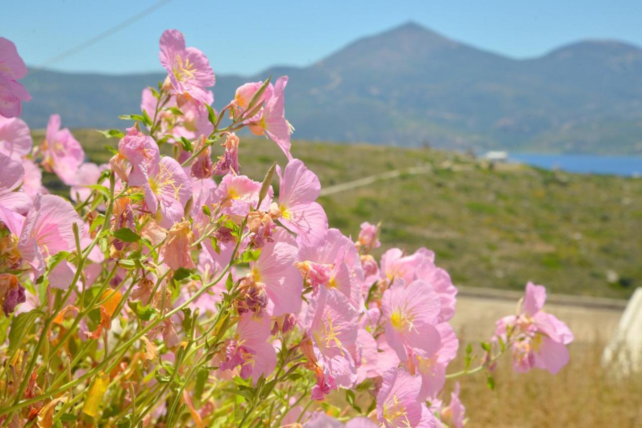 Trypiti Sea View Apartment Εξωτερικό φωτογραφία